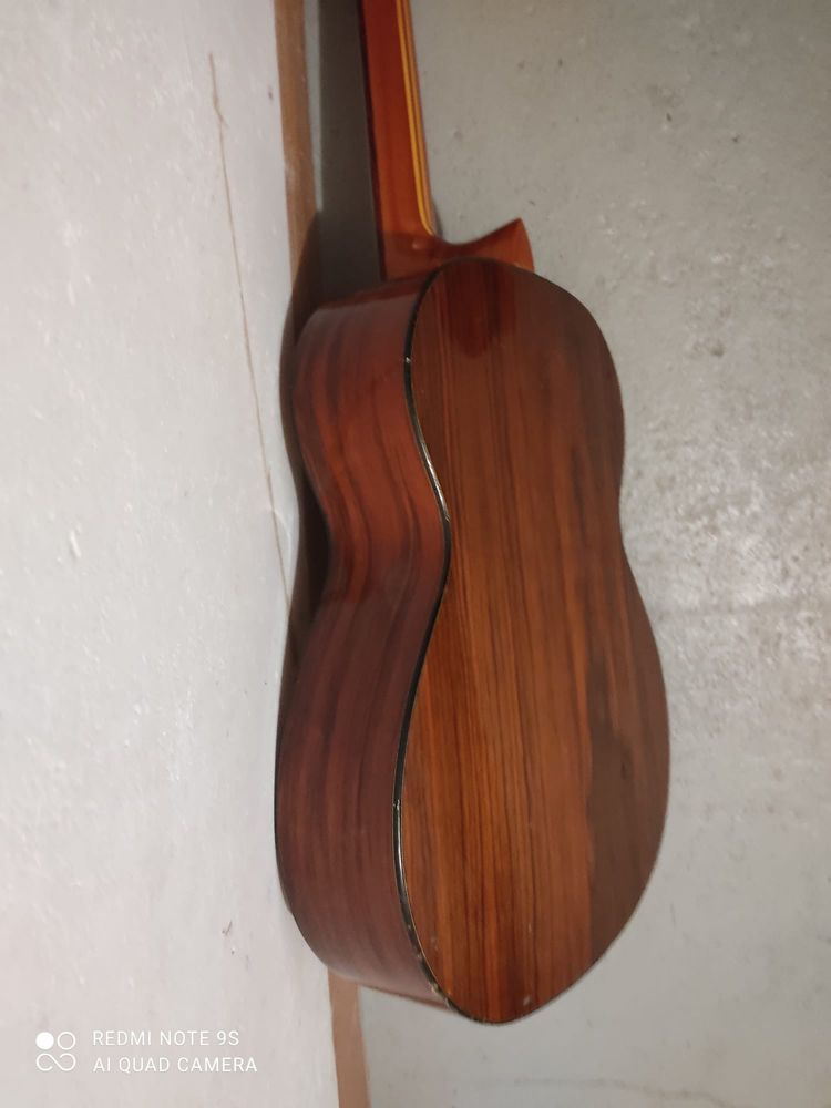 Gitara klasyczna Musima Euro Classic