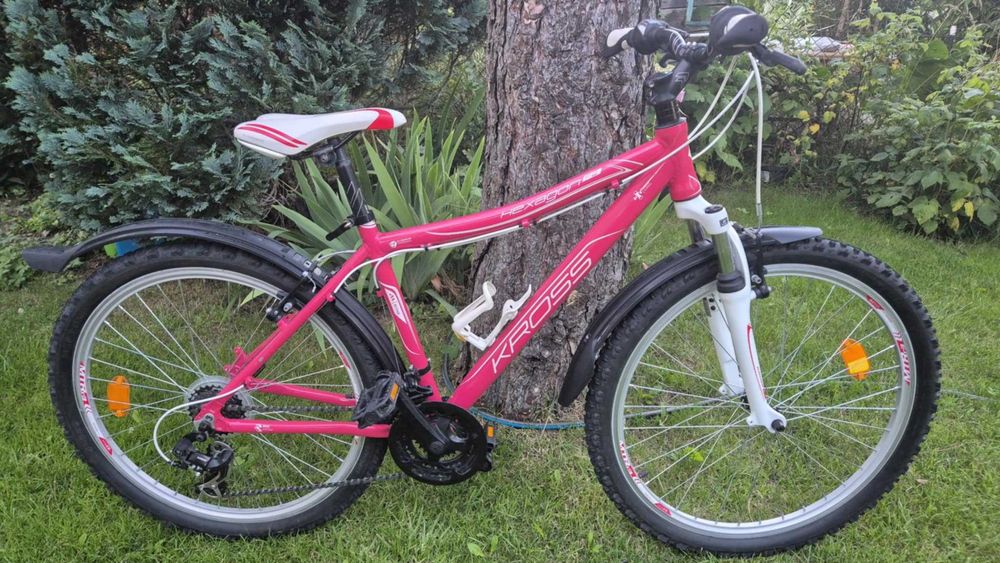 Rower Kross Hexagon F2