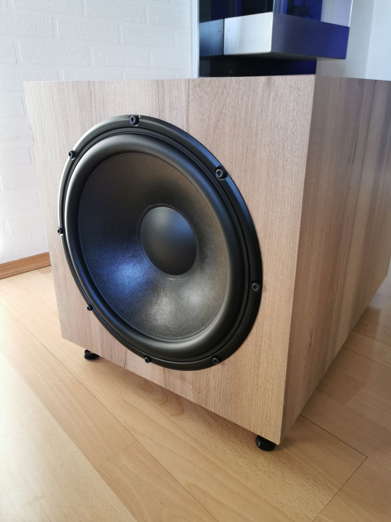 Subwoofer Hypex Peerless