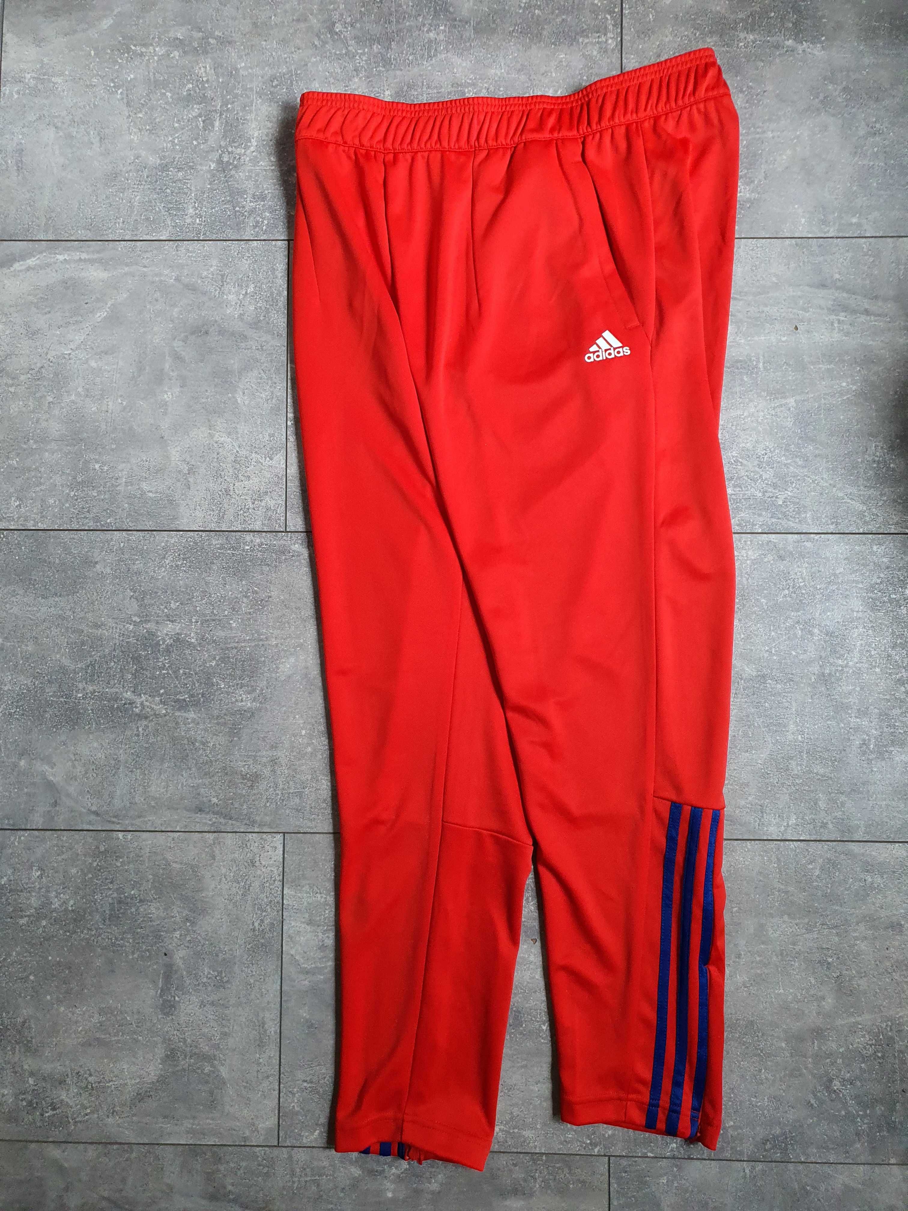 Чоловічі спортивні штани adidas hk4468, L