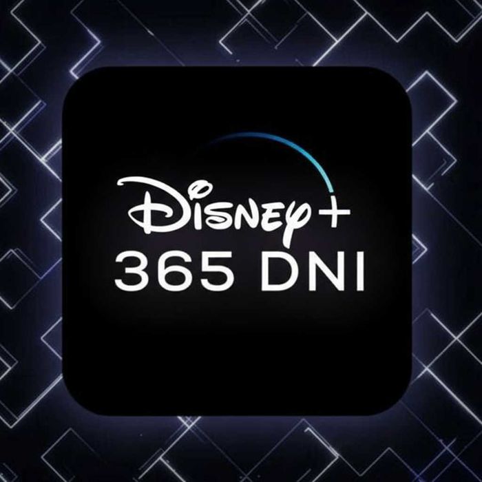 Disney+ Plus 1 rok