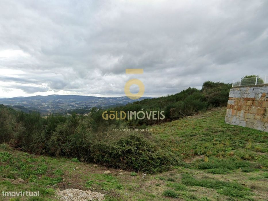 Terreno Rústico  Venda em Banho e Carvalhosa,Marco de Canaveses