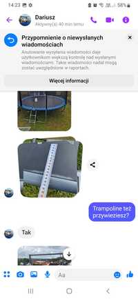 Trampolina z siatką i drabinką