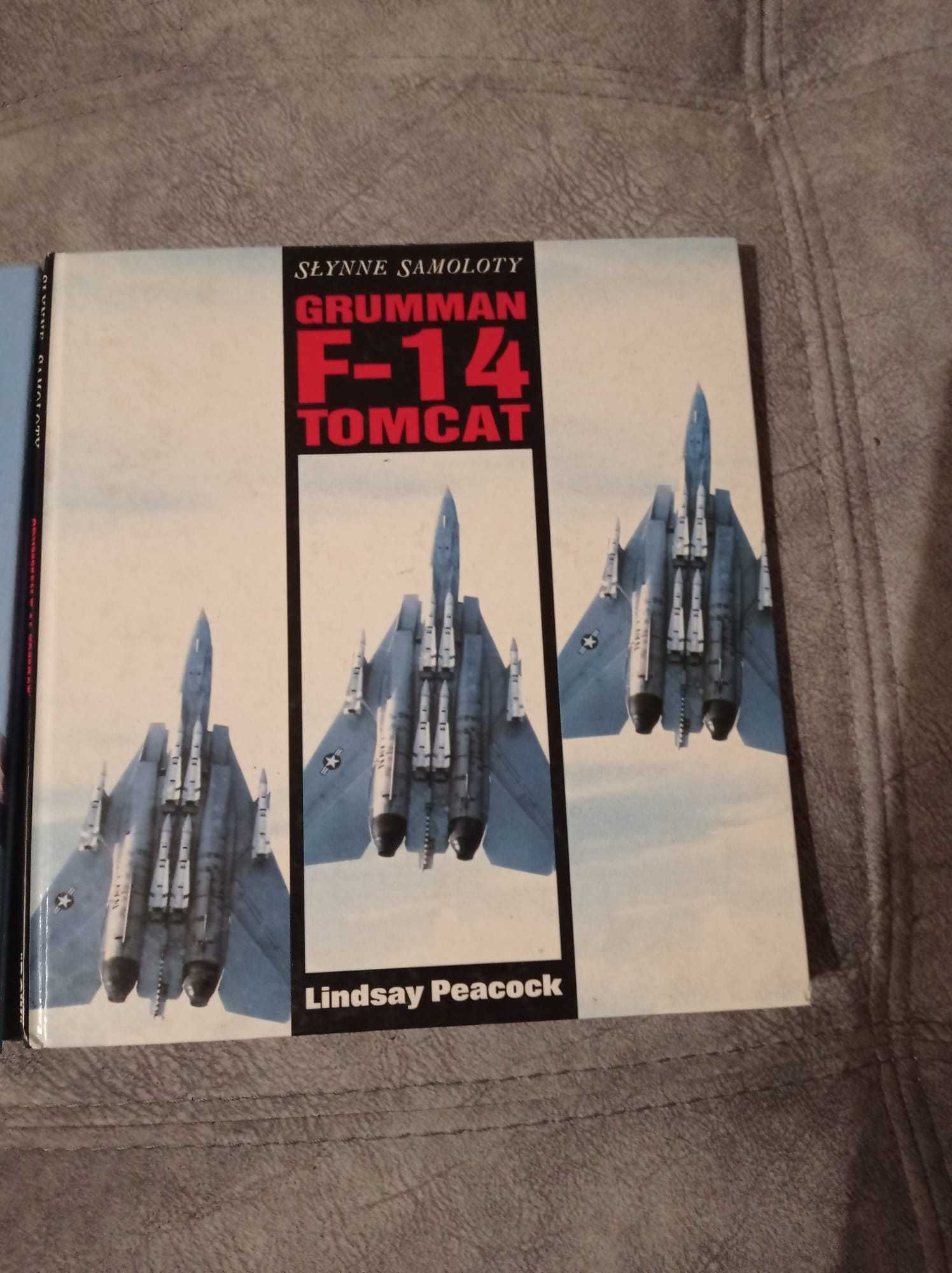 Seria Słynne Samoloty F-14/B-17