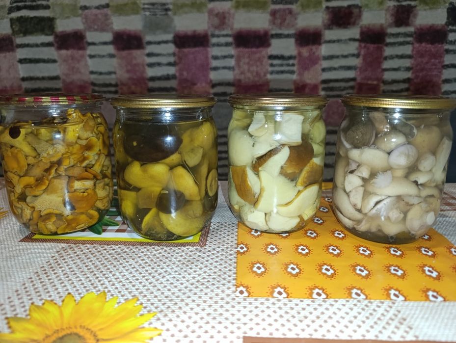 Білі гриби, лисички, польські, маслята мариновані та сухі