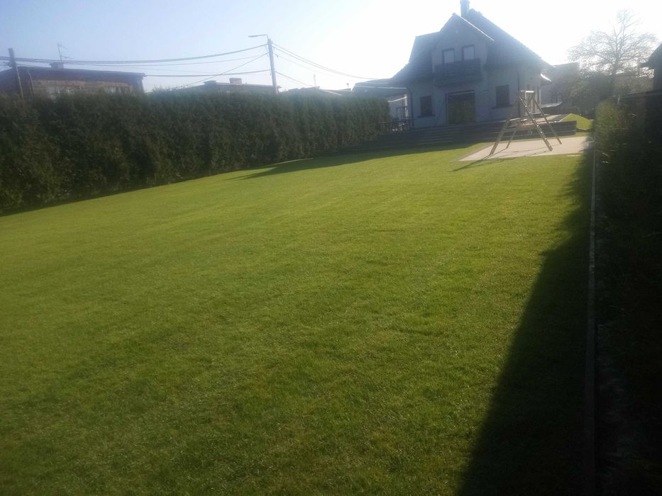 Trawa z rolki, trawa rolowana, zakładanie trawników