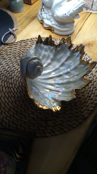 Patera  muszla patera