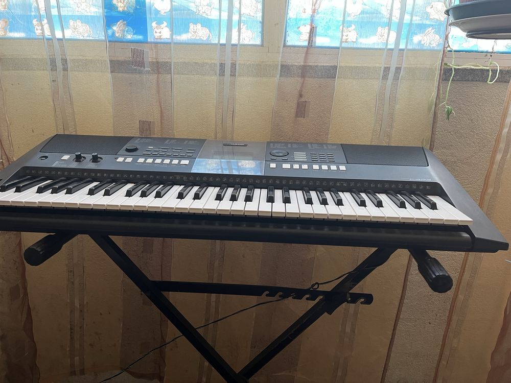 Orgão com suporte