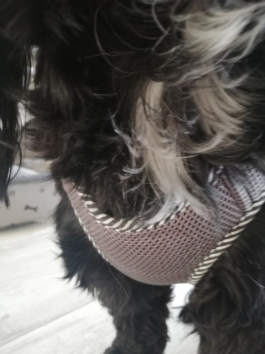 Szelki dla psa z marerialu oddychajacego