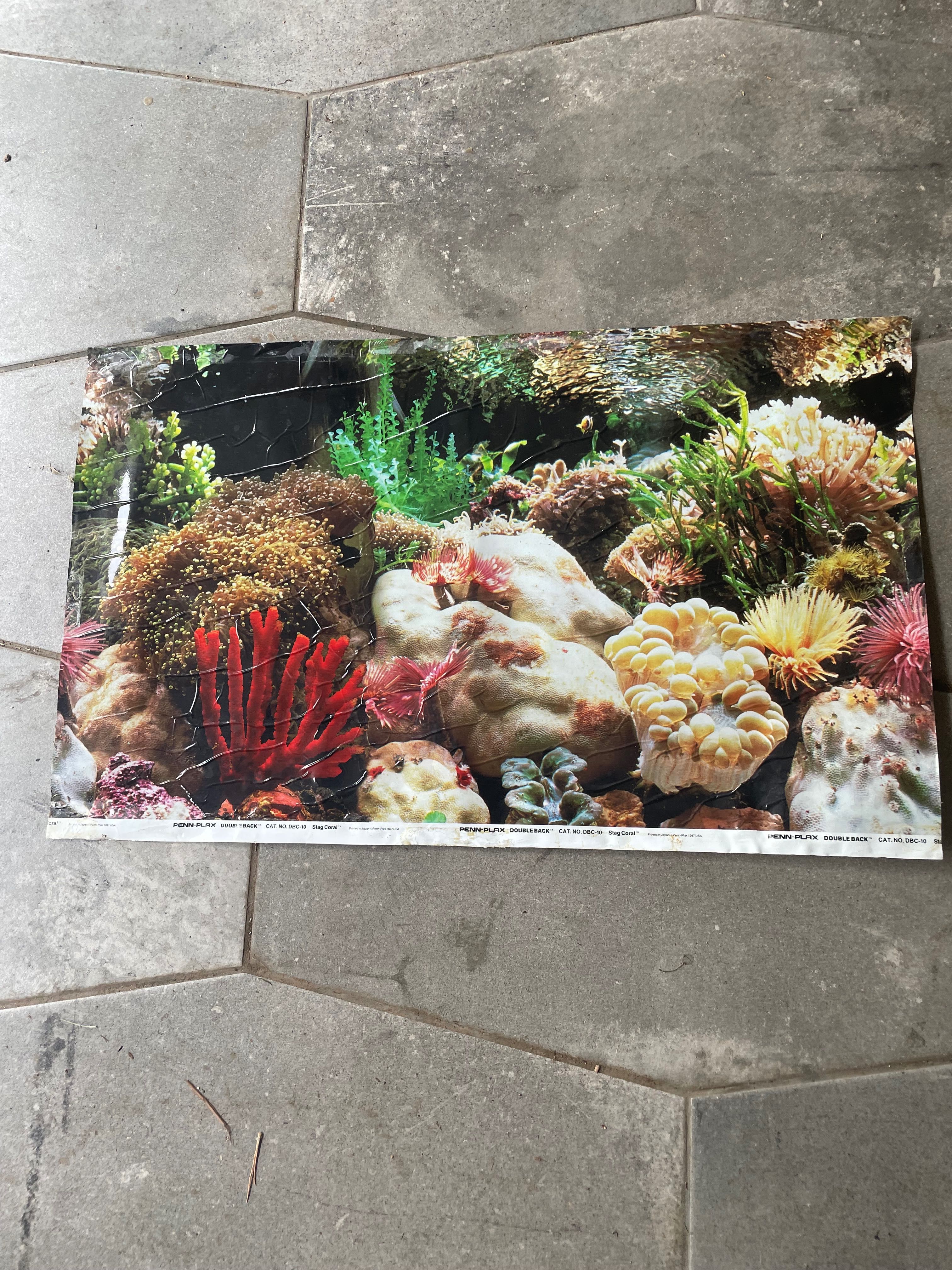Aquário usado peixes