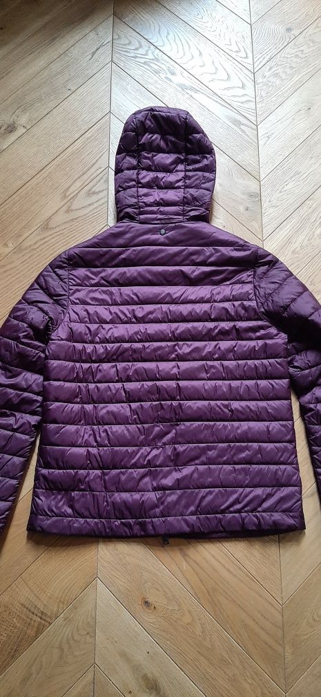 Kurtka Massimo Dutti r.S fiolet