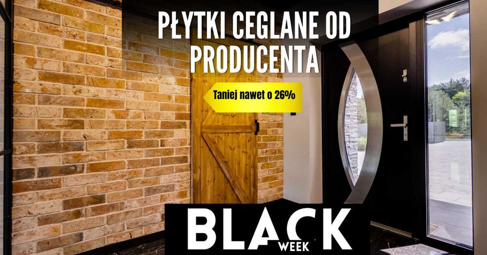 Stare Cegły Dekoracyjne na Ścianę i Elewacje, Kamień Ozdobny, Płytki