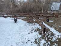 Зчіпка С-9, ЦБ10047337, ЦБ10047336, ПС10000741
