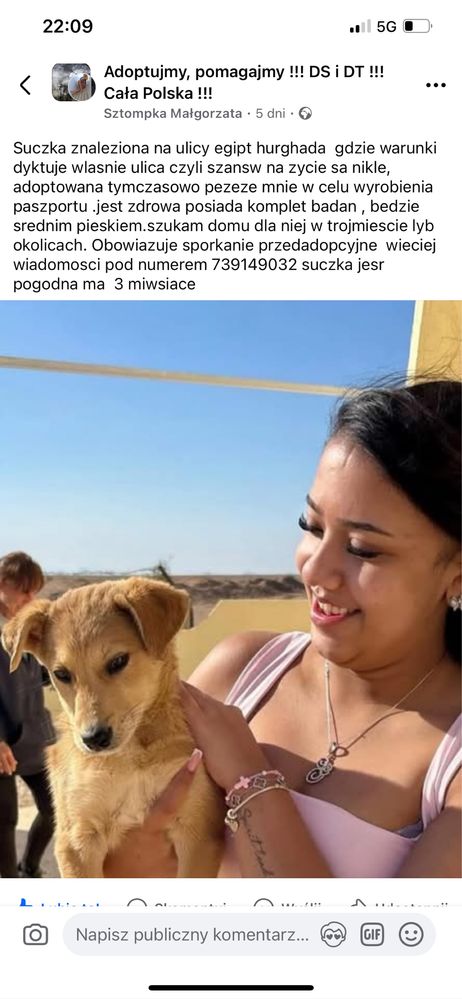 Cudowna suczka do adopcji