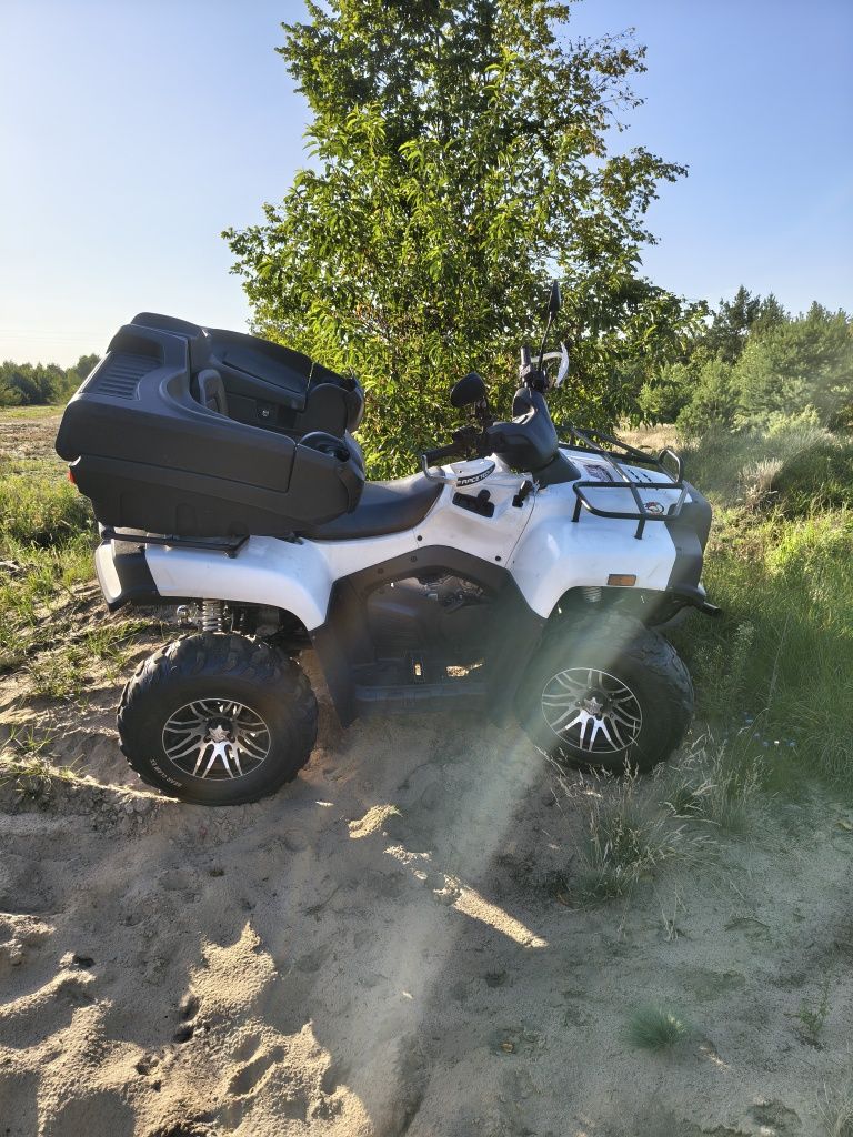 Cectek gladiator