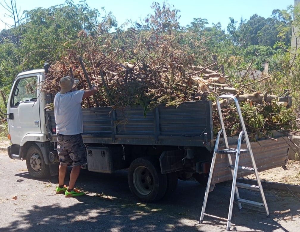 CARRINHAS para todo o tipo de recolha de resíduos de jardinagem e lixo