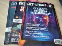 Programista 01-03/2025
