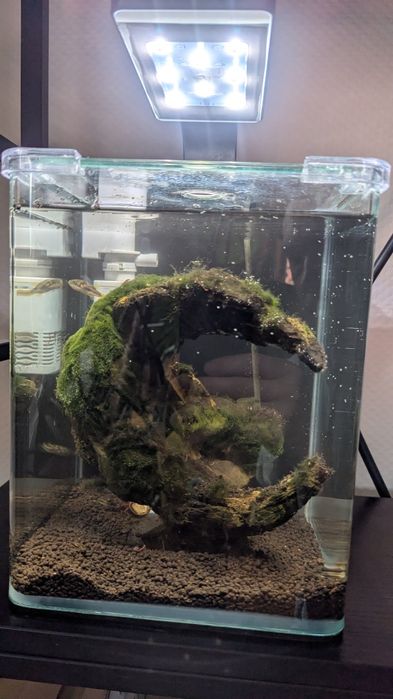 Nano akwarium 10l Dennerle + kamień + LED 3 poz + akc