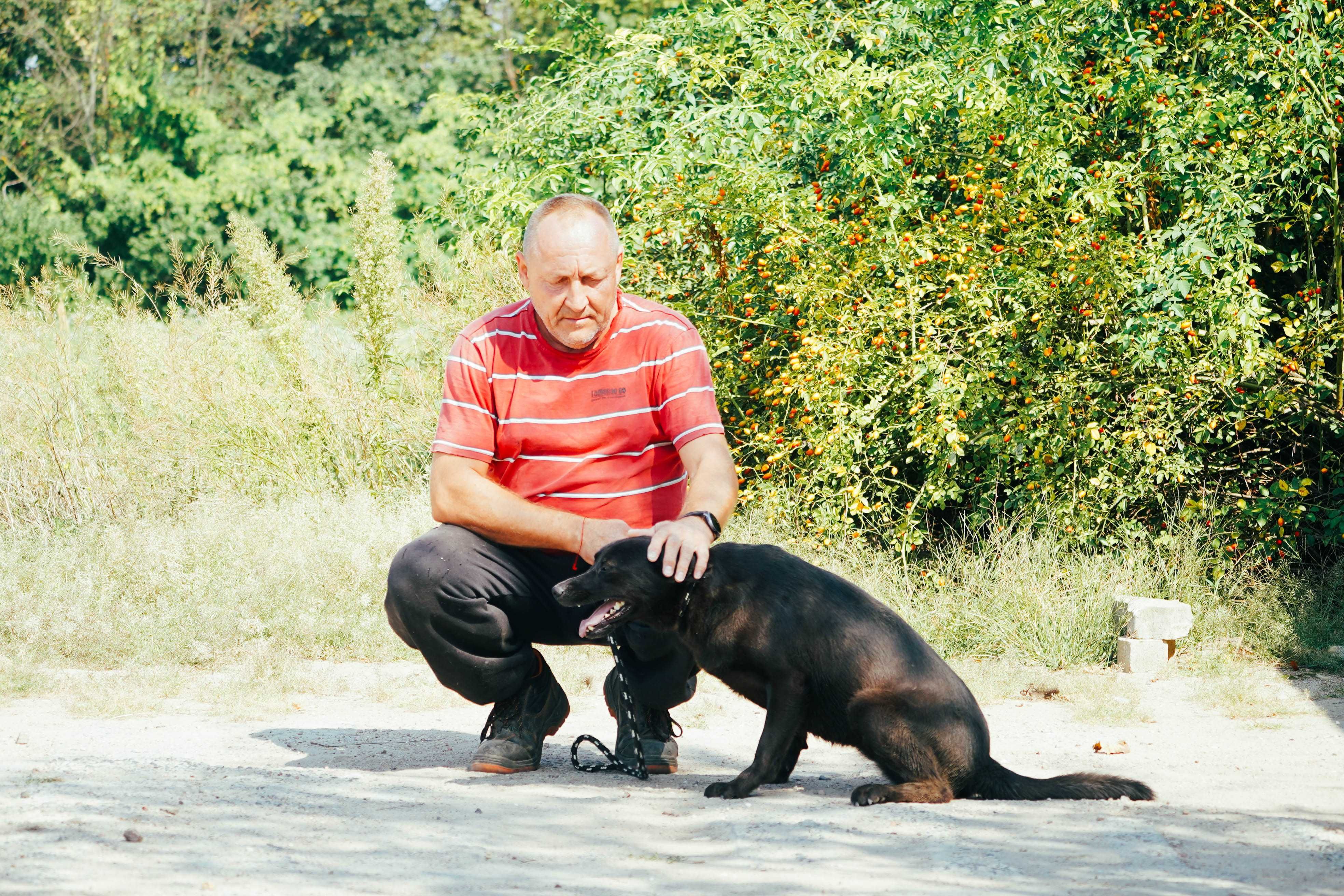 Agatka - labek miniaturka szuka domu