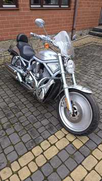 Harley-Davidson Softail V-Rod Harley-Davidson V-rod VRSCA