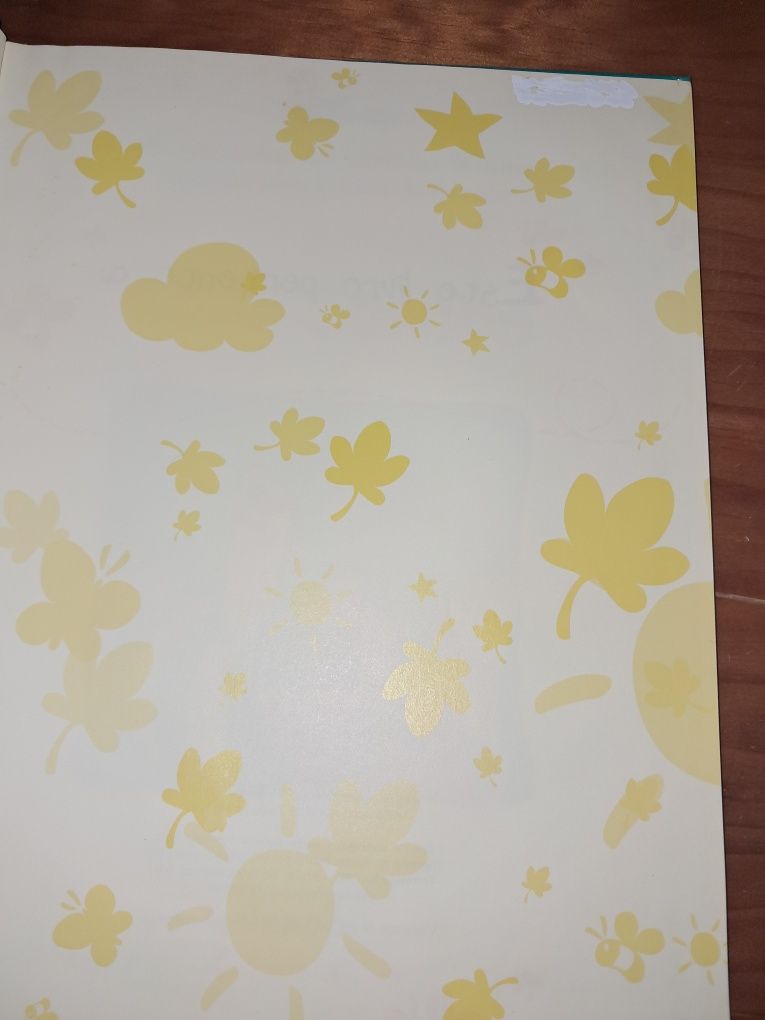 2 livros Winnie the Pooh
