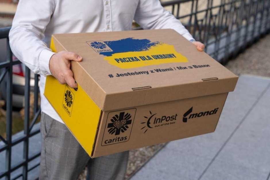 SŁONECZNIK ziarno słonecznika dla ptaków nasiona w łupinie dostawa DHL