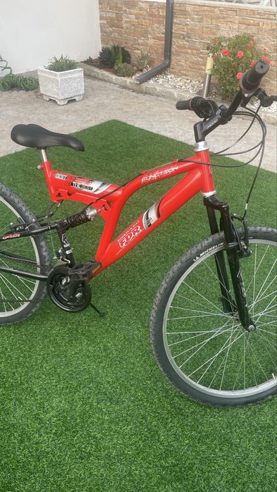 Bicicleta de Monte