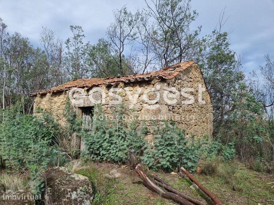 Terreno Rústico com dependência agrícola no Sidral/Covões