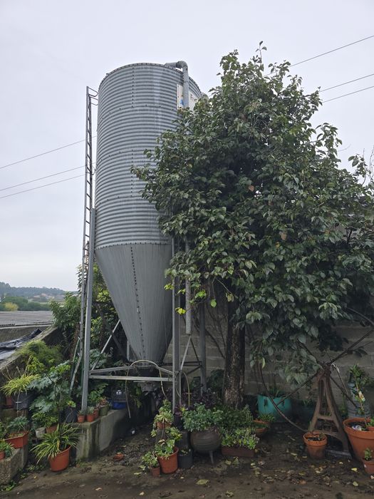 Cilo Farinha Gado Maia