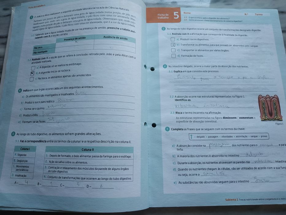 Vendo livro de actividades 100% vida 6 ano