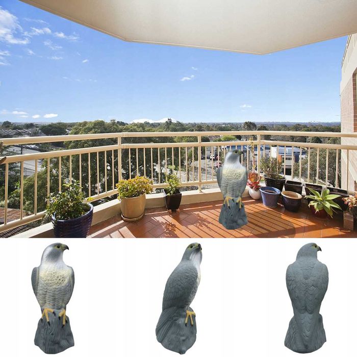 Duży odstraszacz ptaków gołebi szpaków sokół na skale błyszczące oczy