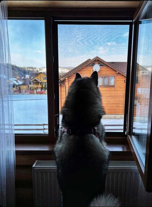 Котедж в Карпатах.  Відпочинок в горах