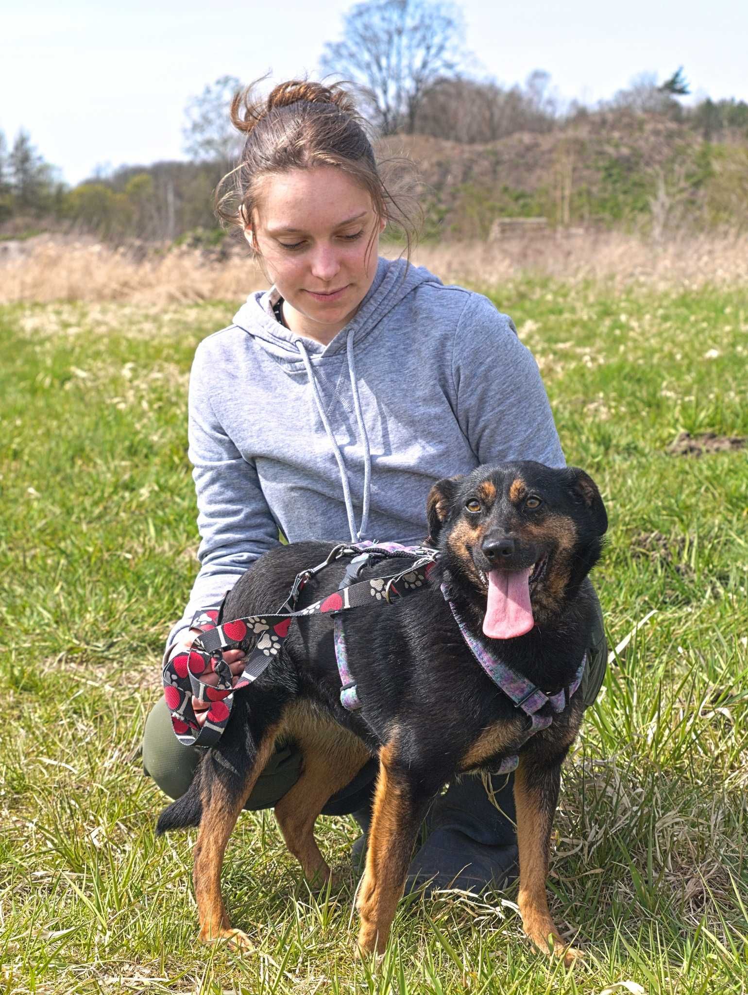 Perełka - mała, delikatna  sunia z potencjałem do adopcji