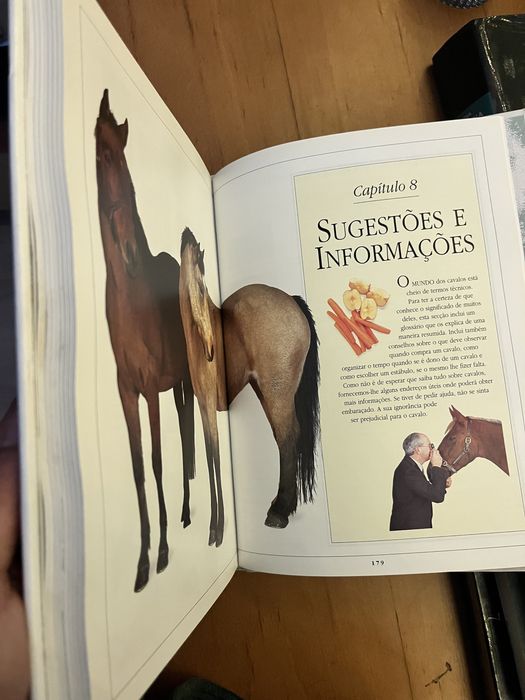 Manual completo para tratamento de cavalos