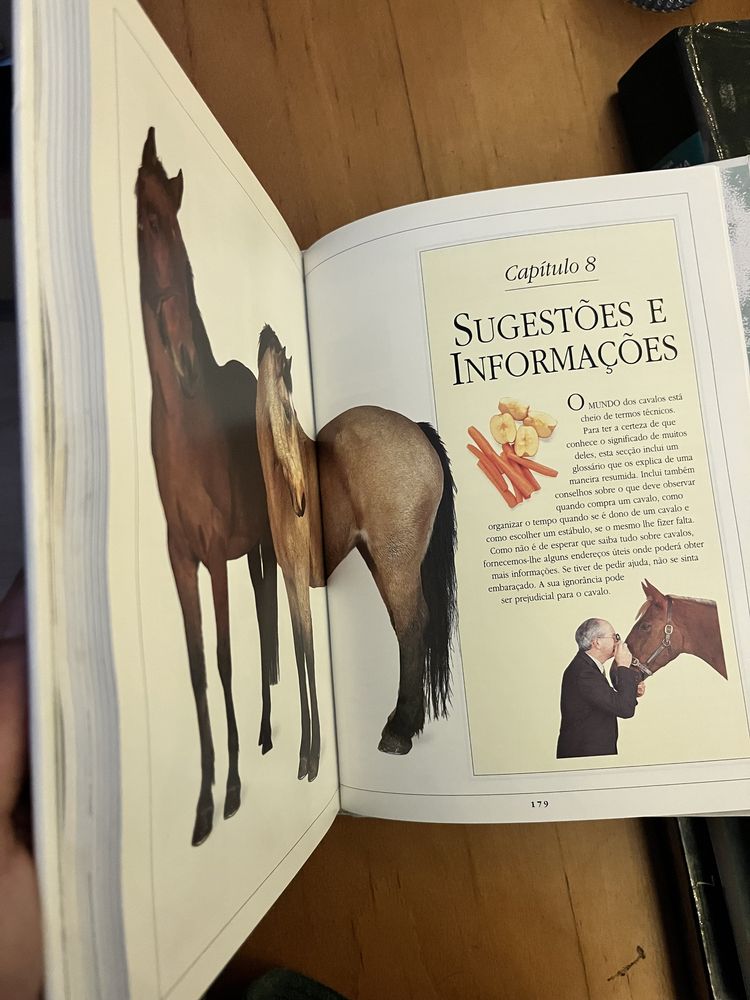 Manual completo para tratamento de cavalos