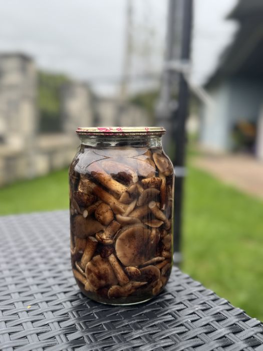 Гриби білі сушені та мариновані 2025 , опеньки