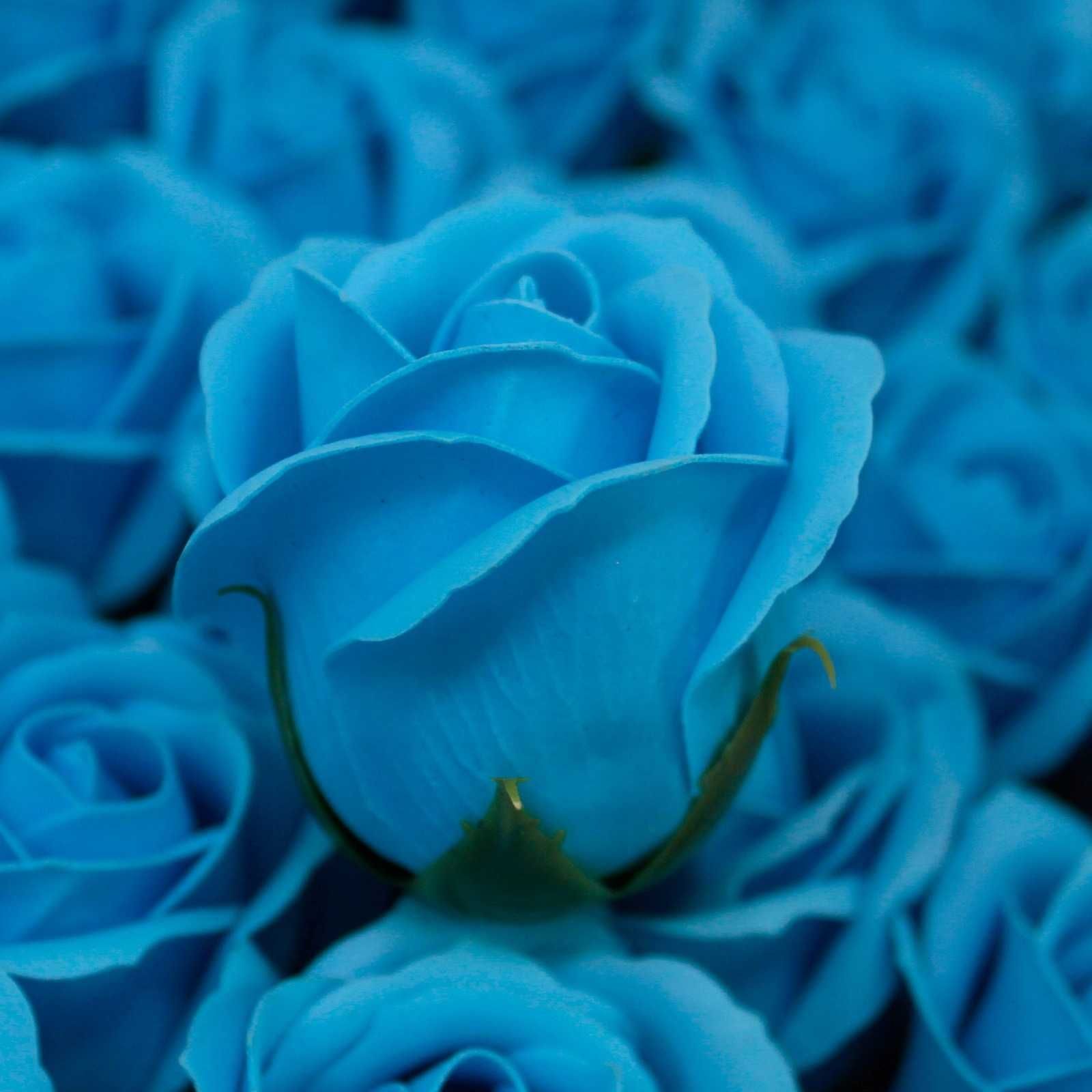 Róża Mydlana w kolorze nieba_Niebieska _BOX _50 sztuk