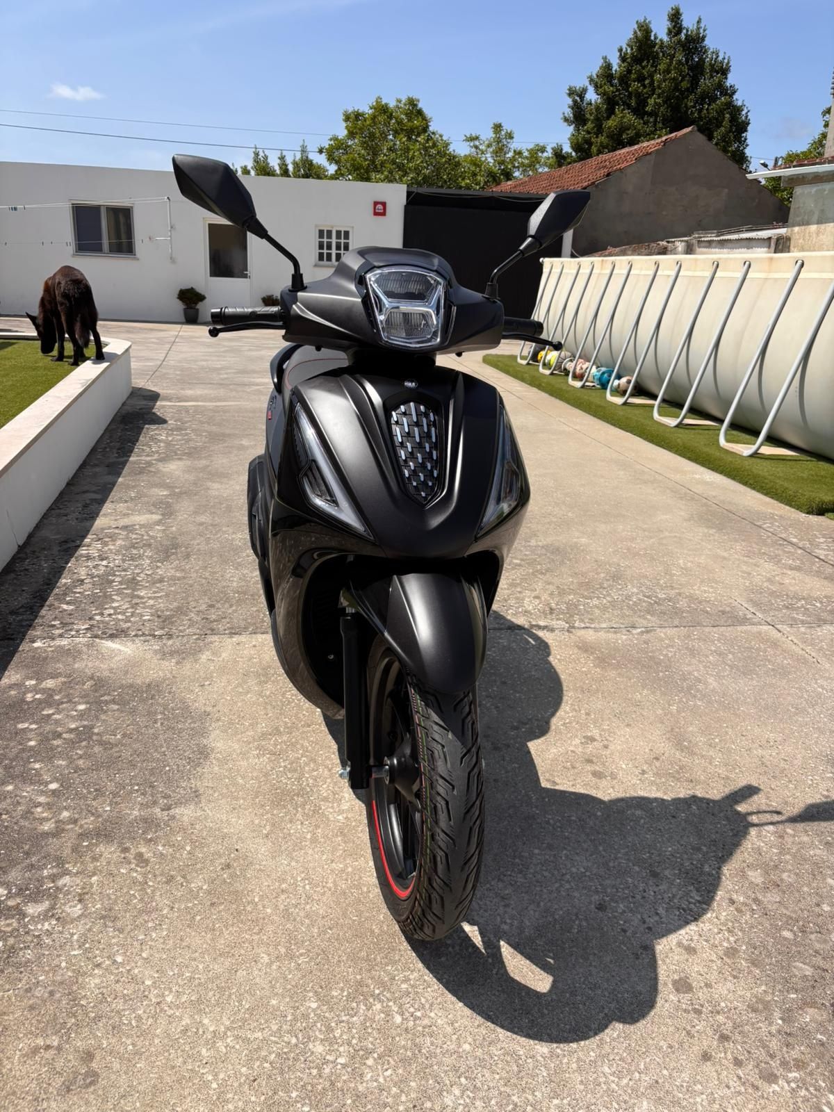 125 Morbidelli nova
