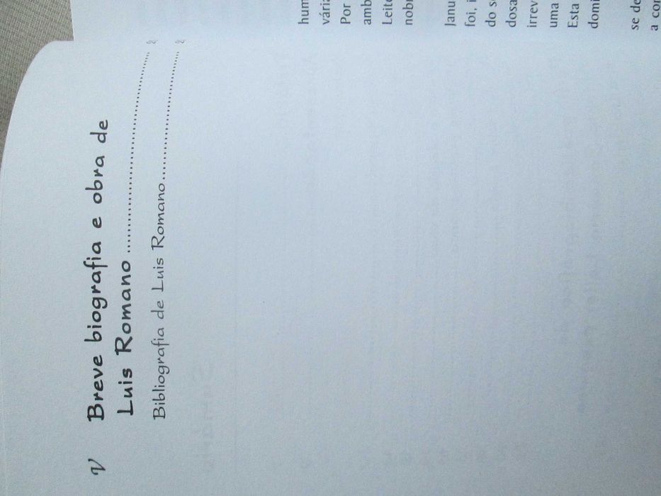 O Poeta Além Vale, António Januário Leite