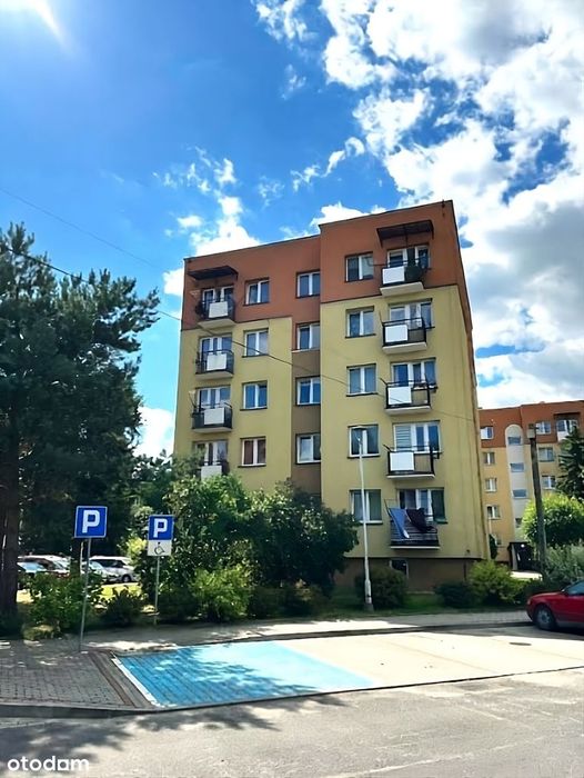 Wyjątkowe mieszkanie- cisza i zieleń.  Bez pośredników.