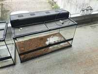 Duże terrarium jak nowe
