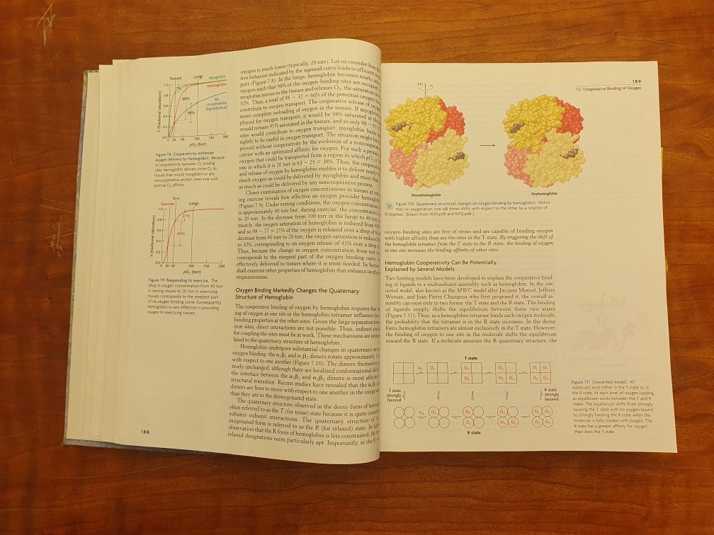 Biochemistry - livro