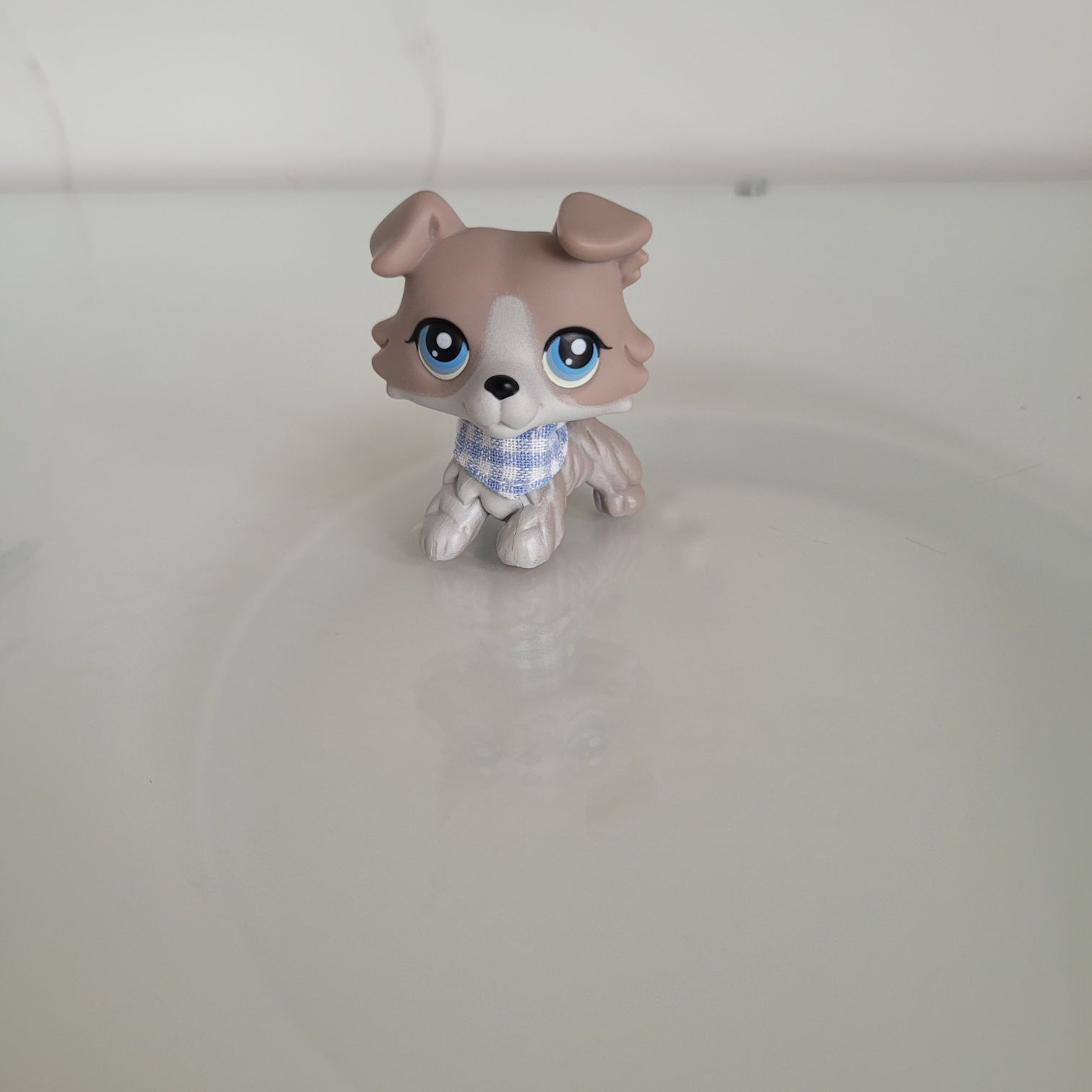 Lps pop unikat collie #67