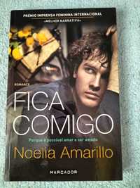 Lote livros Românticos (Noelia Amarillo e Vanessa Pereira)