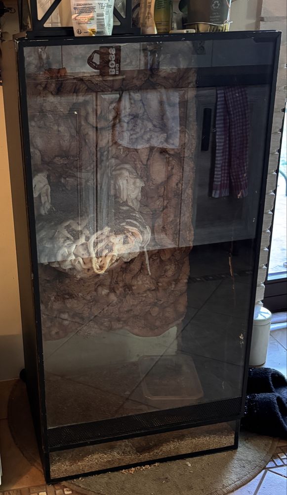 Szklane czarne  trrarium dla weza/ gekona lub innego gada