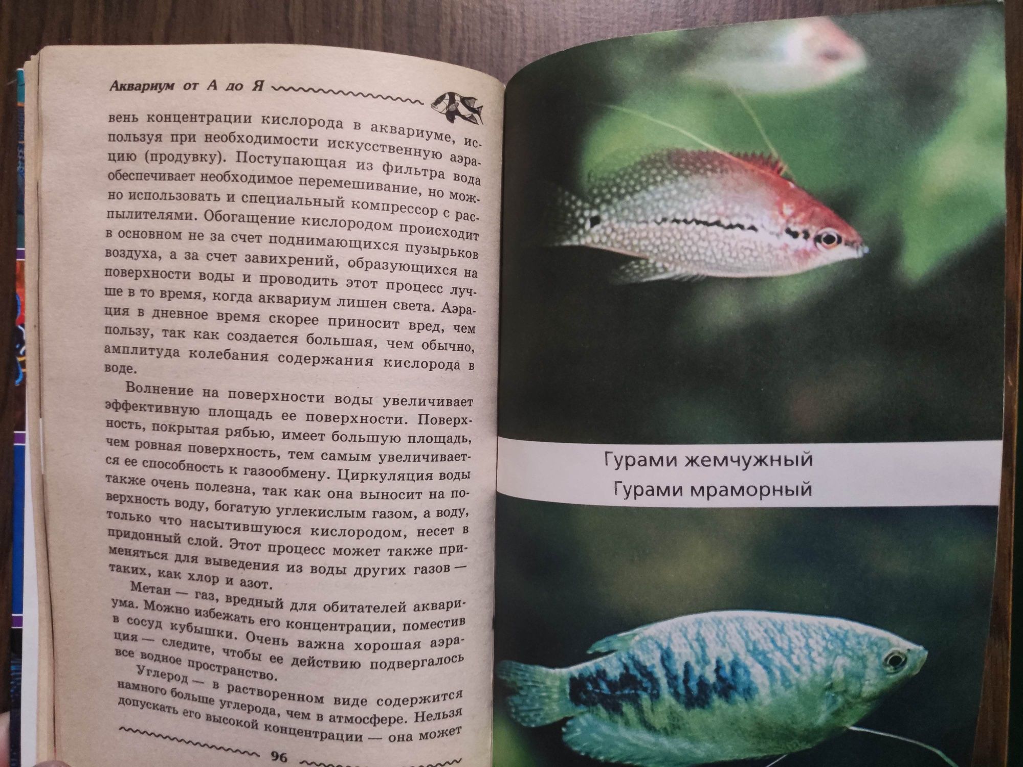 Аквариум от а до Я