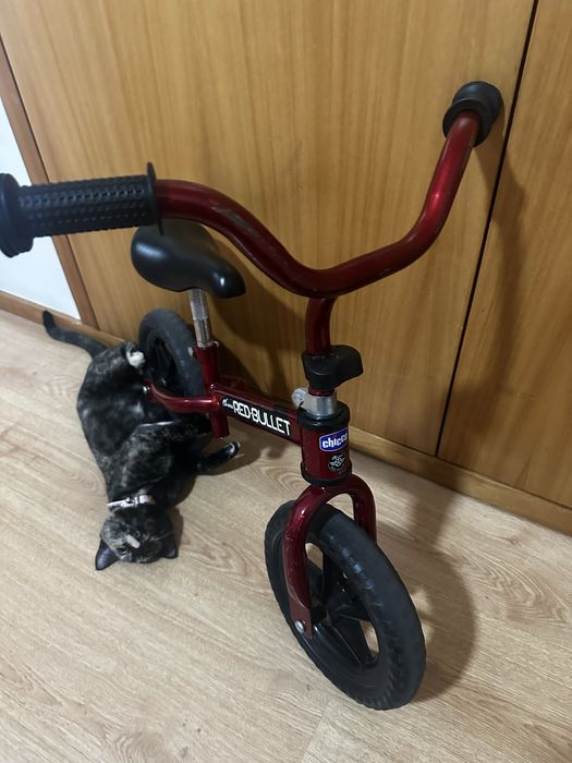 Primeira Bicicleta chicco sem pedais