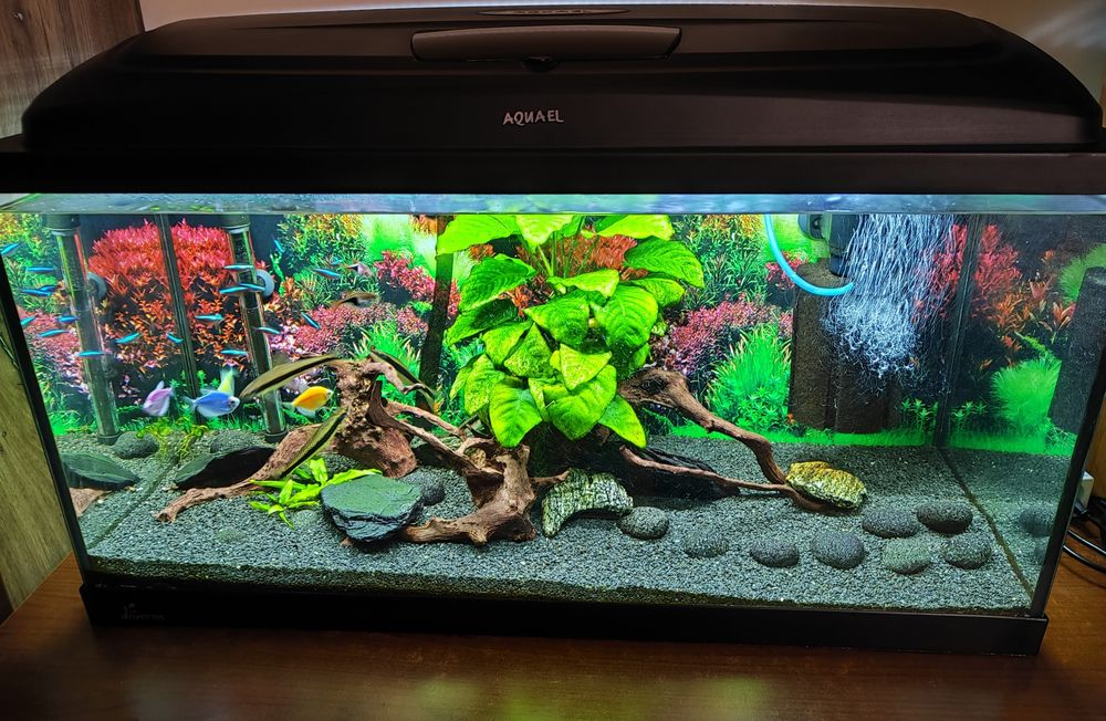 Akwarium 112 litrów