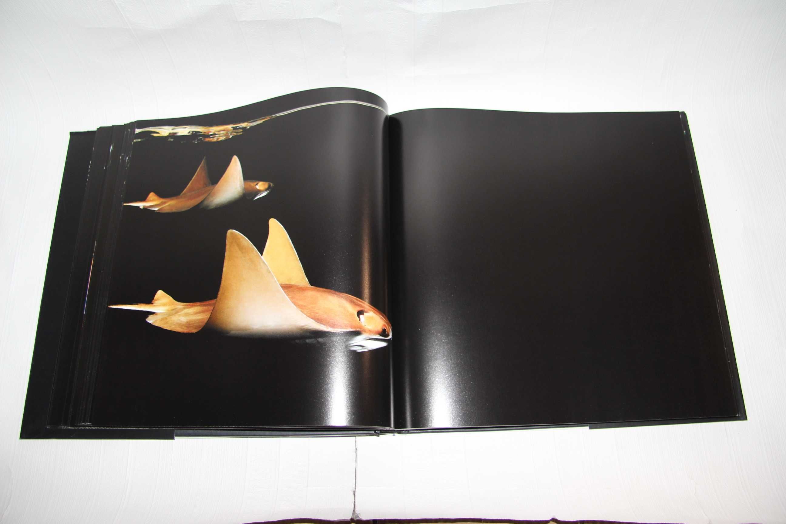 Книги о фотографии. Марк Лайта. Море