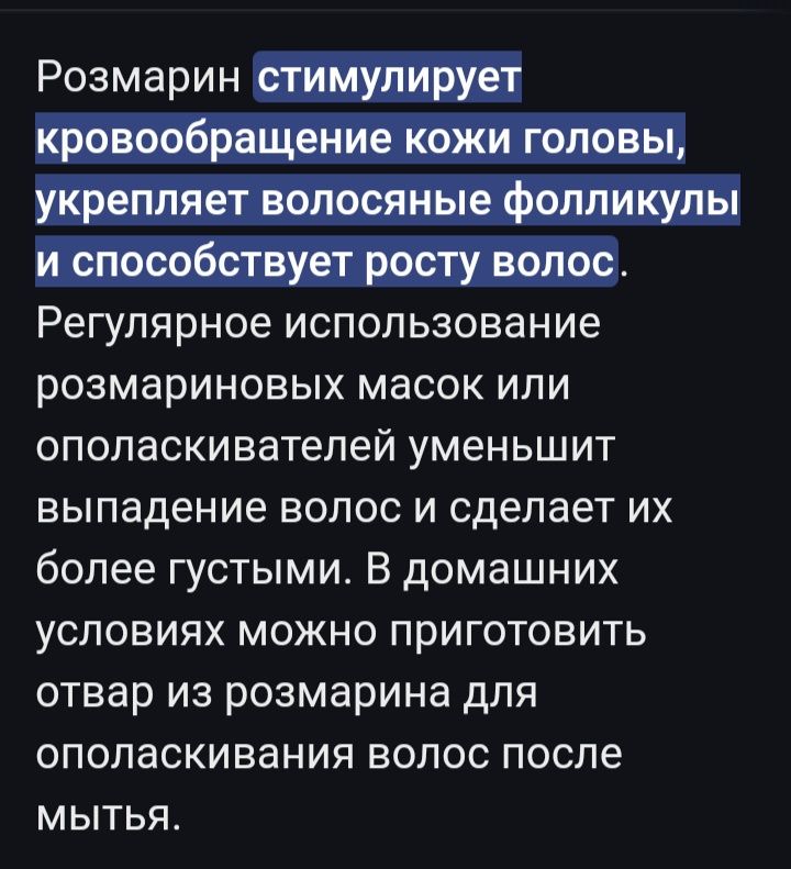 Розмарин и мята мохито рассада пряные травы